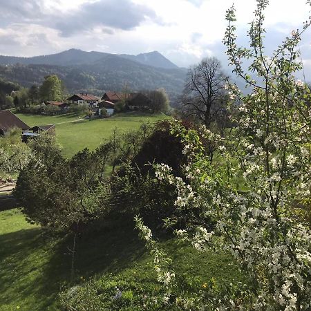 Entspannen Mit Bergpanorama Siegsdorf Exterior photo