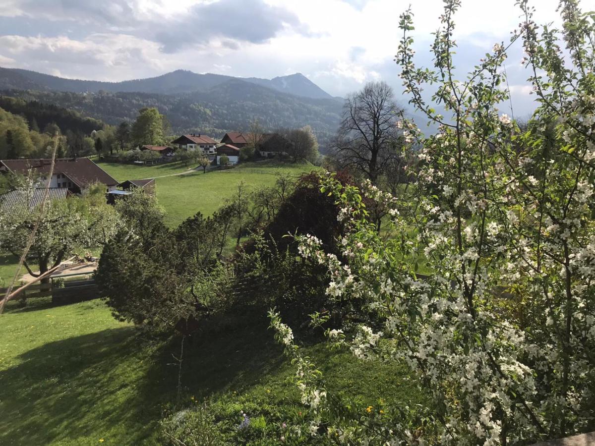 Entspannen Mit Bergpanorama Siegsdorf Exterior photo